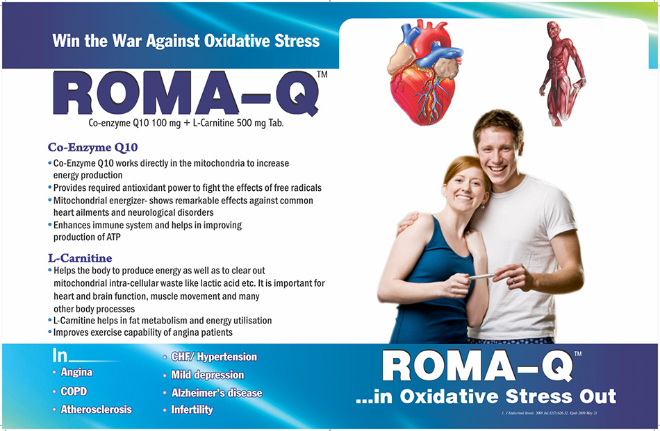 roma-q